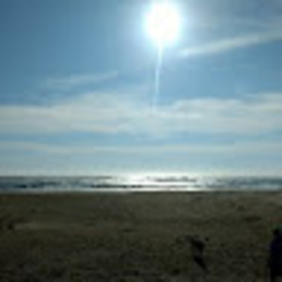 Meet your Posher, Robin - Picture 1 of 1